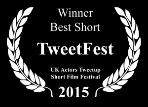 Winner TweetFest 2015